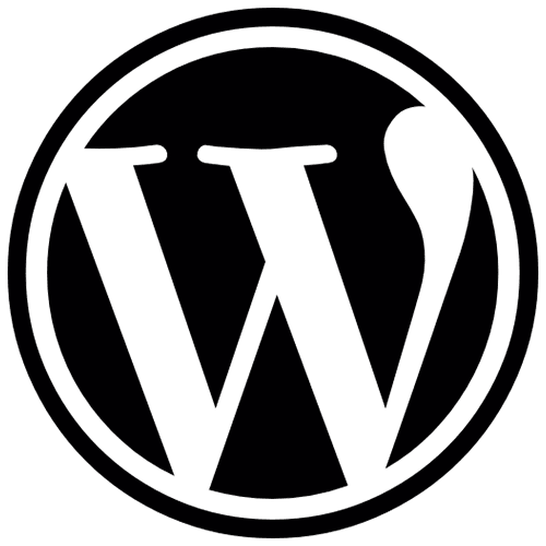 Hire Wordpress Developer