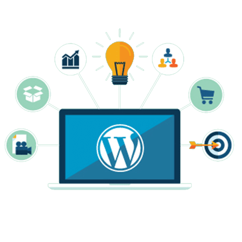 Hire Wordpress Developer